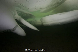 Ice rift, many layers of lake ice broken and shaped by na... by Teemu Lakka 